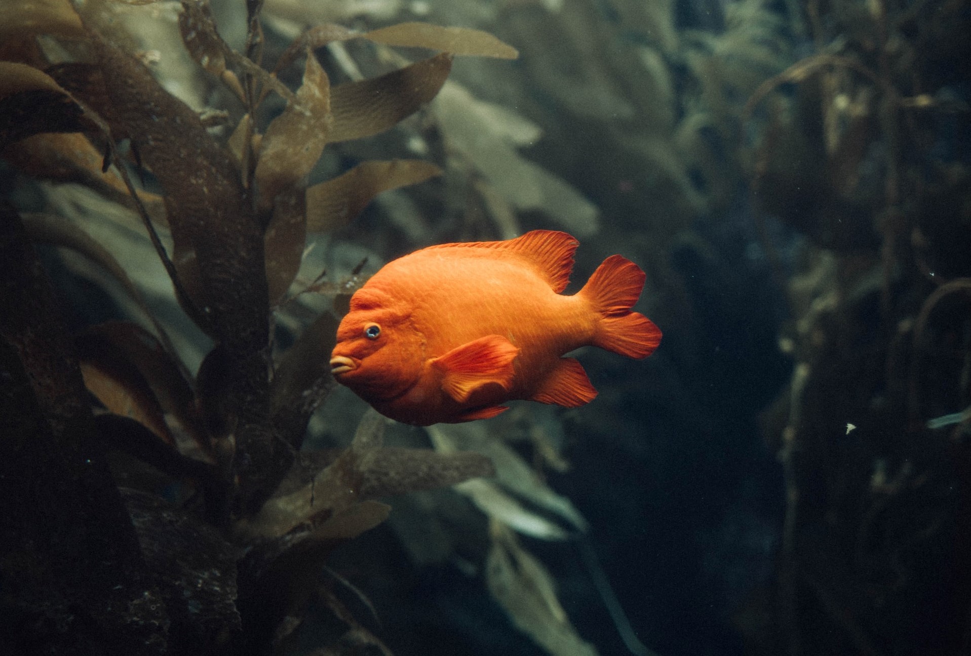 Relief Anxiety and Live a Relaxed Life